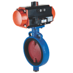 Pneumatic Operated Valve